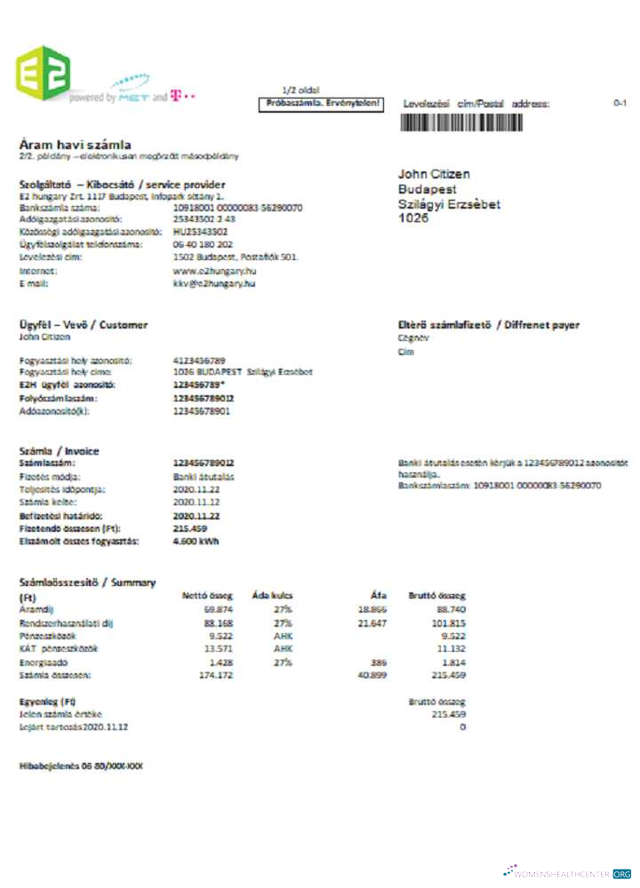 download download Hungary E2 utility bill Word and PDF format PDF template PDF template